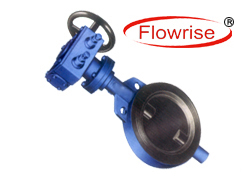 Exporter of gear box type butterfly valve India