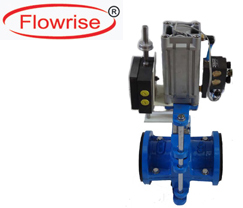 India's top Flowrise ® Brand pneumatic pinch valve,Cylinder – Pneumatic Operated Knife Edge Gate Valves