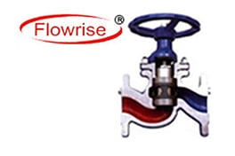 Piston Valves Manufacturer In India