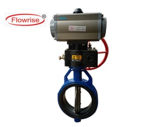butterfly valve manufacturers in ahmedabad